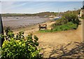 SX4364 : Tamar estuary at Weir Quay by Derek Harper