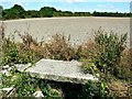 SU1578 : Field, Wroughton, Swindon by Brian Robert Marshall