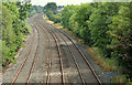 J2463 : Railway lines, Knockmore, Lisburn (July 2014) by Albert Bridge