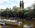 SO5517 : Canoeing on the Wye, Symonds Yat West by Jaggery