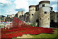 TQ3380 : Tower poppies by Ian Capper