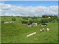 ST8194 : Linking the past and present - Newington Bagpath, Gloucestershire by Martin Richard Phelan