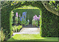 SE7169 : Dephiniums in Garden, Castle Howard, Yorkshire by Christine Matthews