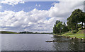 H2053 : Shoreline, Lower Lough Erne by Rossographer