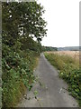 TM2997 : Bridleway to the B1332 Norwich Road by Geographer