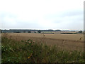 TM2997 : Fields off Kirstead Green by Geographer