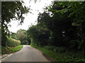 TM3097 : Seething Road, Kirstead Green by Geographer