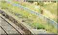 J1576 : Platform, Crumlin station (August 2014) by Albert Bridge