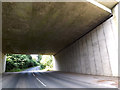 TM1341 : Under the A14 Felixstowe Road by Geographer