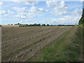 TL0596 : Stubble field near Nassington by JThomas