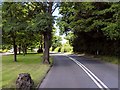 SJ8363 : Sandbach Road, Congleton by David Dixon