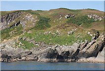  : Wild goats at Rubha na Mèise Bàine by Becky Williamson