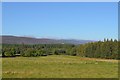 NC8702 : Fields at Uppat in Sutherland by Andrew Tryon