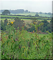 SK6151 : Farmland near Calverton by Stephen Richards