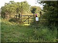  : Public bridleway above Kimlin Slack by Christopher Hall