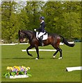 SP8690 : Rockingham Castle Horse Trials: dressage by Jonathan Hutchins