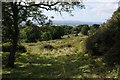 SO9439 : View to the Malvern Hills by Philip Halling