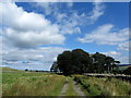 SE0584 : Approaching Manor House Farm by Chris Heaton