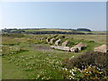 TV5197 : Tank traps, Cuckmere Haven by PAUL FARMER