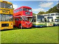 SD8203 : 2014 Trans Lancs Rally, Heaton Park by David Dixon