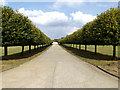 TL7965 : Entrance to Risby Business Park by Geographer