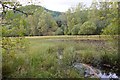 NN9653 : Former curling pond, Logierait Woods by Jim Barton