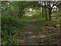 SU9164 : Walkway between the A322 and the A30 by Alan Hunt