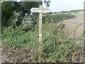 SP8610 : Signpost in a field near Weston Turville by David Hillas