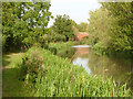 SK7285 : Chesterfield Canal at Hayton by Alan Murray-Rust