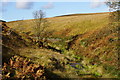 SD9432 : Greave Clough at Clough Foot by Bill Boaden