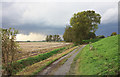 TL6387 : Slope rising to levee of River Little Ouse by Trevor Littlewood