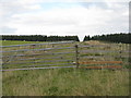 NT4156 : The Scottish Borders meet Midlothian by M J Richardson