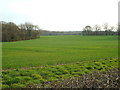 SP0974 : A rarity in Arden  a big field, extensive woodland, Fulford Heath by Robin Stott