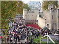 TQ3380 : Poppies in the Moat, Tower of London by PAUL FARMER