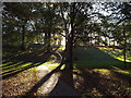 NZ3955 : Autumn light, Backhouse Park, Sunderland by Malc McDonald