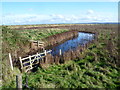 TR0065 : Behind the sea wall at Uplees Marshes by Marathon