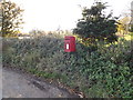 TM1990 : Hawthorn Ipswich Road Postbox by Geographer