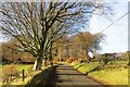  : Road near Long Knowe by Richard Webb