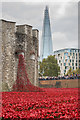 TQ3380 : Tower poppies by Ian Capper