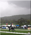 SK2570 : Chatsworth Horse Trials: dressage in torrential rain by Jonathan Hutchins