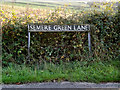 TM1783 : Semere Green Lane sign by Geographer