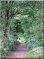 TL5002 : Path in woodland between Clunes House and Cold Hall Farm by Mike Quinn