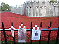 TQ3380 : Poppies at The Tower of London #10 by Richard Humphrey