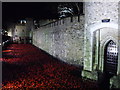 TQ3380 : Poppies at The Tower of London #15 by Richard Humphrey