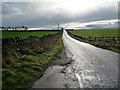 SE0348 : Sunshine after rain on Low Lane by Christine Johnstone