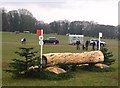 SJ8165 : Somerford Park Horse Trials: log obstacle by Jonathan Hutchins