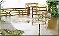 J3067 : Flooded towpath, Drumbeg, Dunmurry - November 2014(2) by Albert Bridge