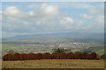 SN9928 : Bracken in bales, Brecon in background by John Winder