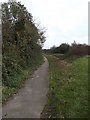 TM1578 : Footpath to the A143 Bungay Road by Geographer