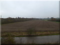 TM1579 : Fields off Scole Common Road by Geographer